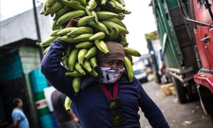 Guatemala: retrato de una auténtica finca bananera