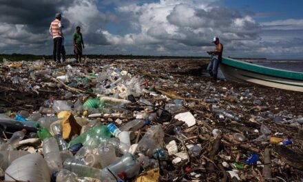 Reducir, reusar y reciclar son obligaciones del Estado de Guatemala