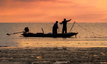 El Día D / Reconocer la labor de los pescadores 🎣🐟