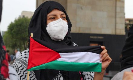 El Día D / Mostrar solidaridad con Palestina