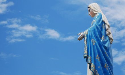 El Día D / La Inmaculada Concepción